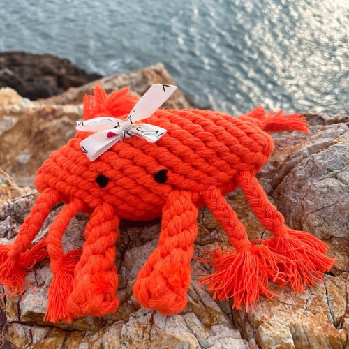 Happy â crabe en corde · Monli â PrĂ©commande NoĂ«l
