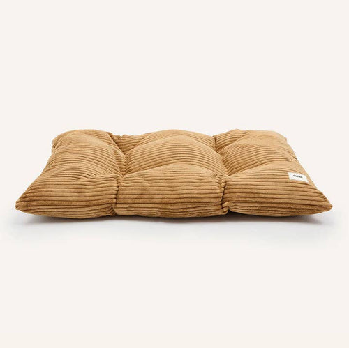 Bela â coussin velours moutarde · CAFIDE â PrĂ©commande NoĂ«l