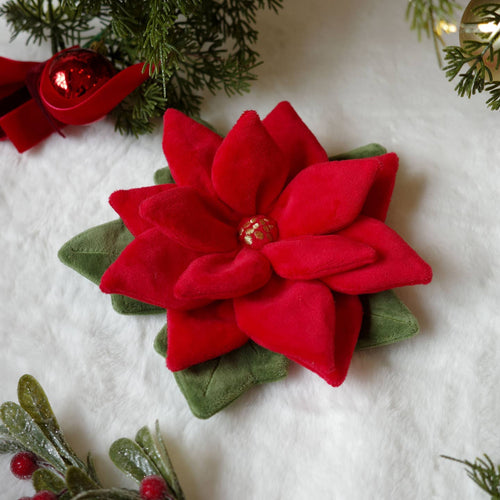 Poinsettia â fleur de NoĂ«l Ă fouiller · Pups & Bubs â PrĂ©commande NoĂ«l