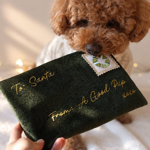 La lettre au PĂšre NoĂ«l â jouet de fouille · Pups & Bubs â PrĂ©commande NoĂ«l