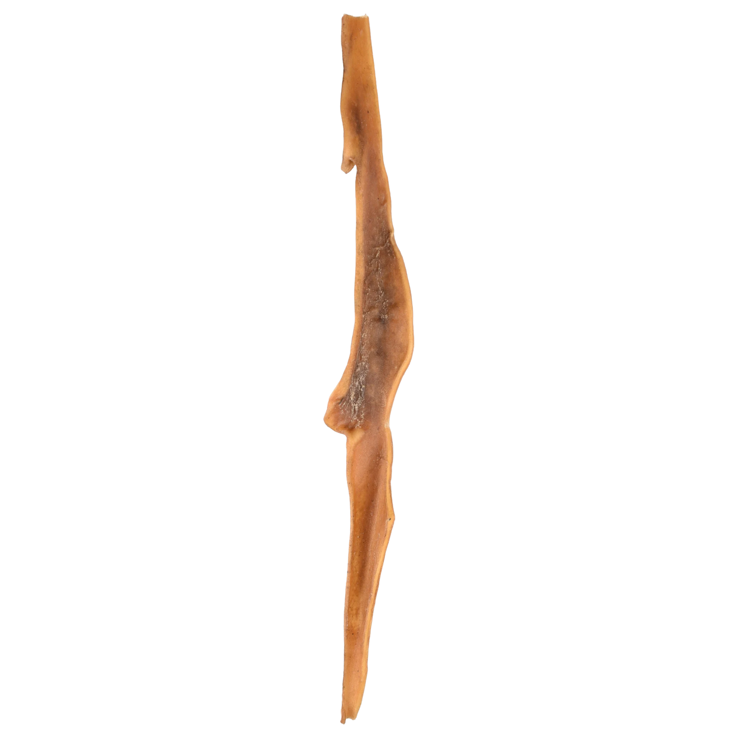 Peau de boeuf géante 60cm