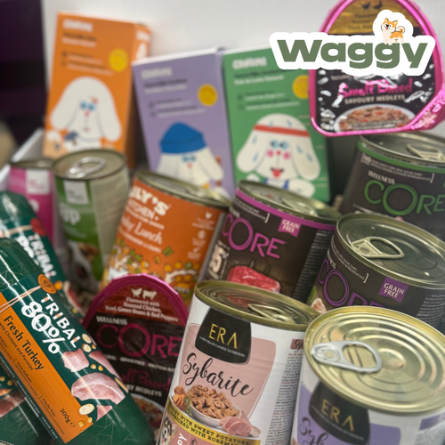 La WaggyBox humide - Gourmet