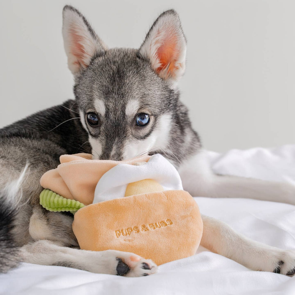 Pita Pocket â sandwich Ă fouiller · Pups & Bubs â PrĂ©commande NoĂ«l