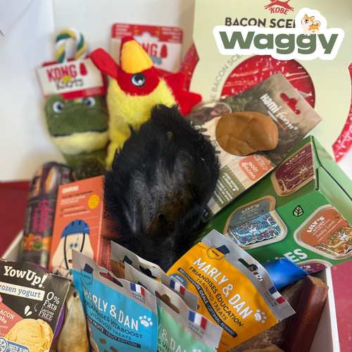 La WaggyBox d'ouverture indécente