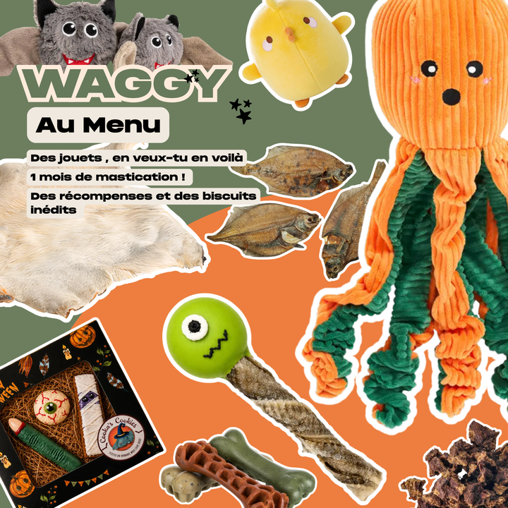 MĂGA BOX TERRIFIANTE D'HALLOWEEN - PRĂCOMMANDE