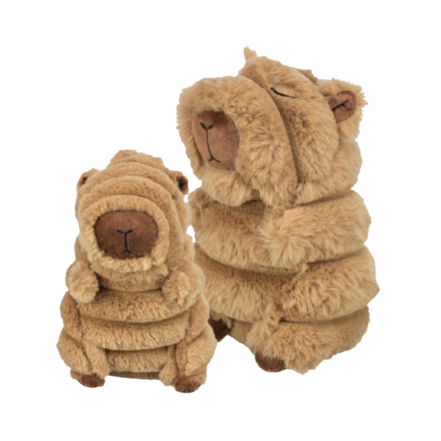 Capybara cagoulé