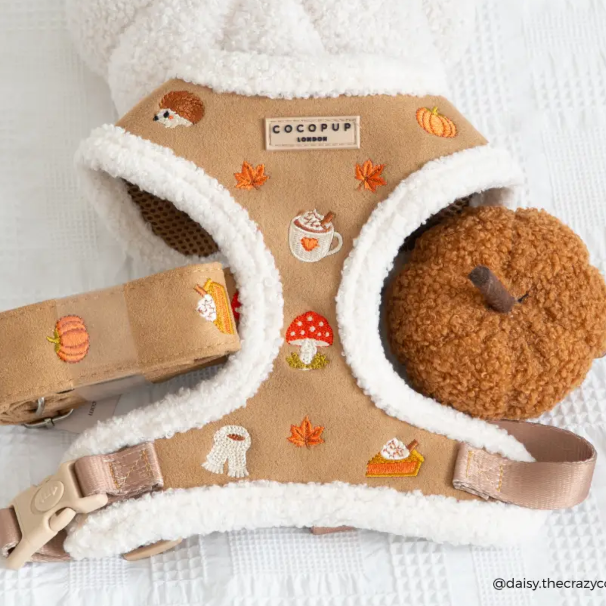 Harnais Pumpkin Fall - Cocopup