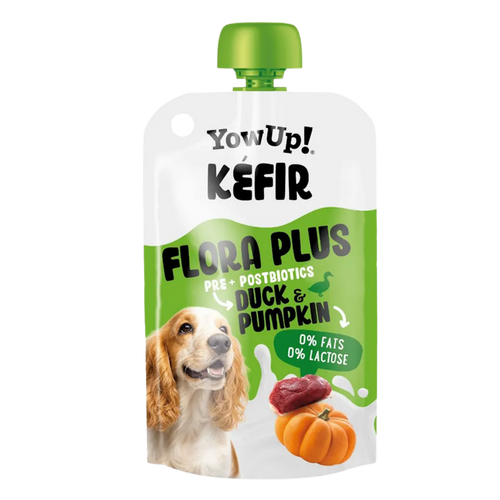 Kefir canard et potiron Yowup