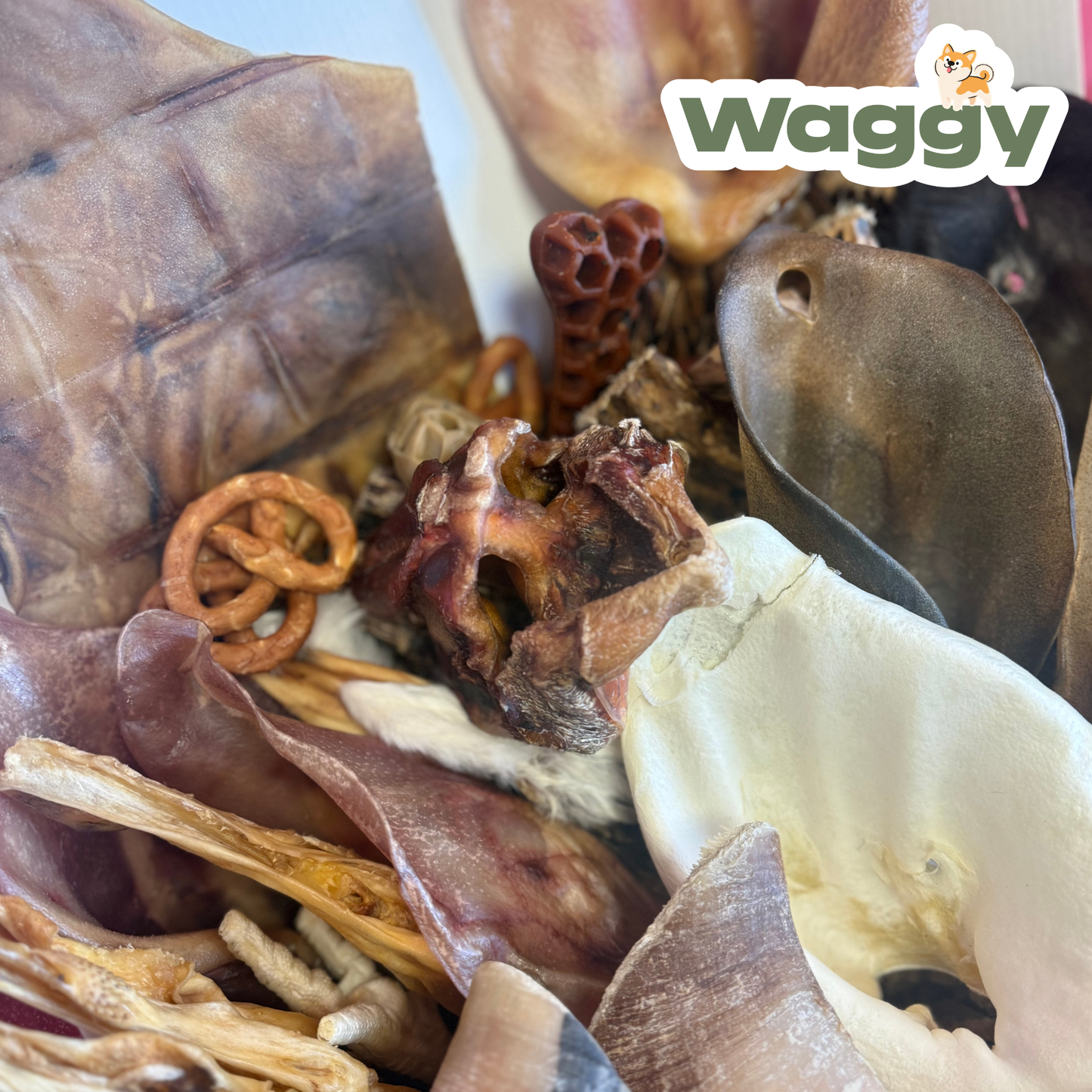 La WaggyBox de mastication
