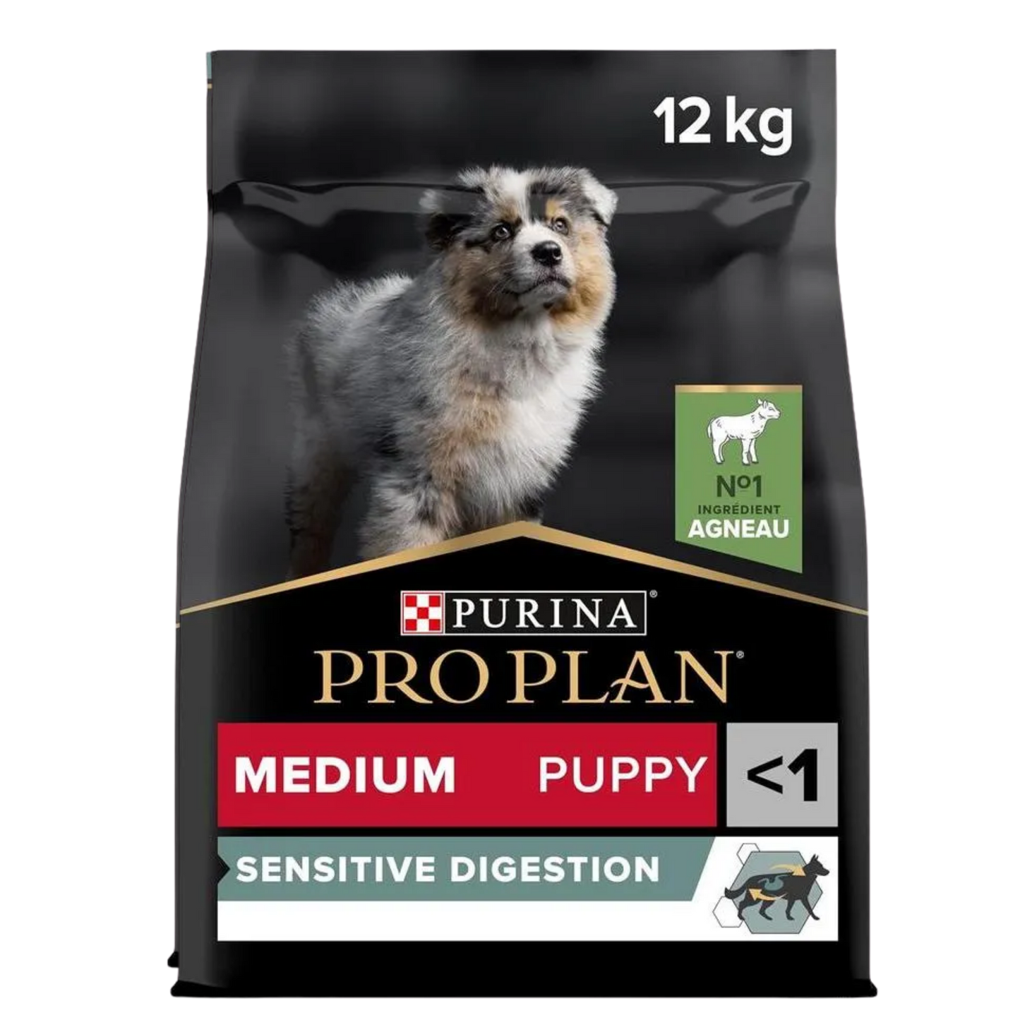 Proplan digestion chiot agneau 12KG