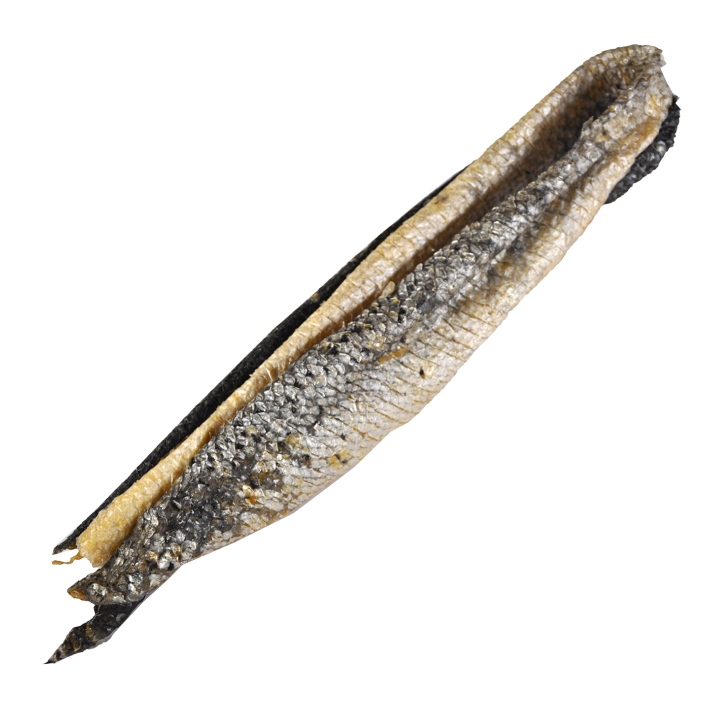 Peau de saumon 30CM