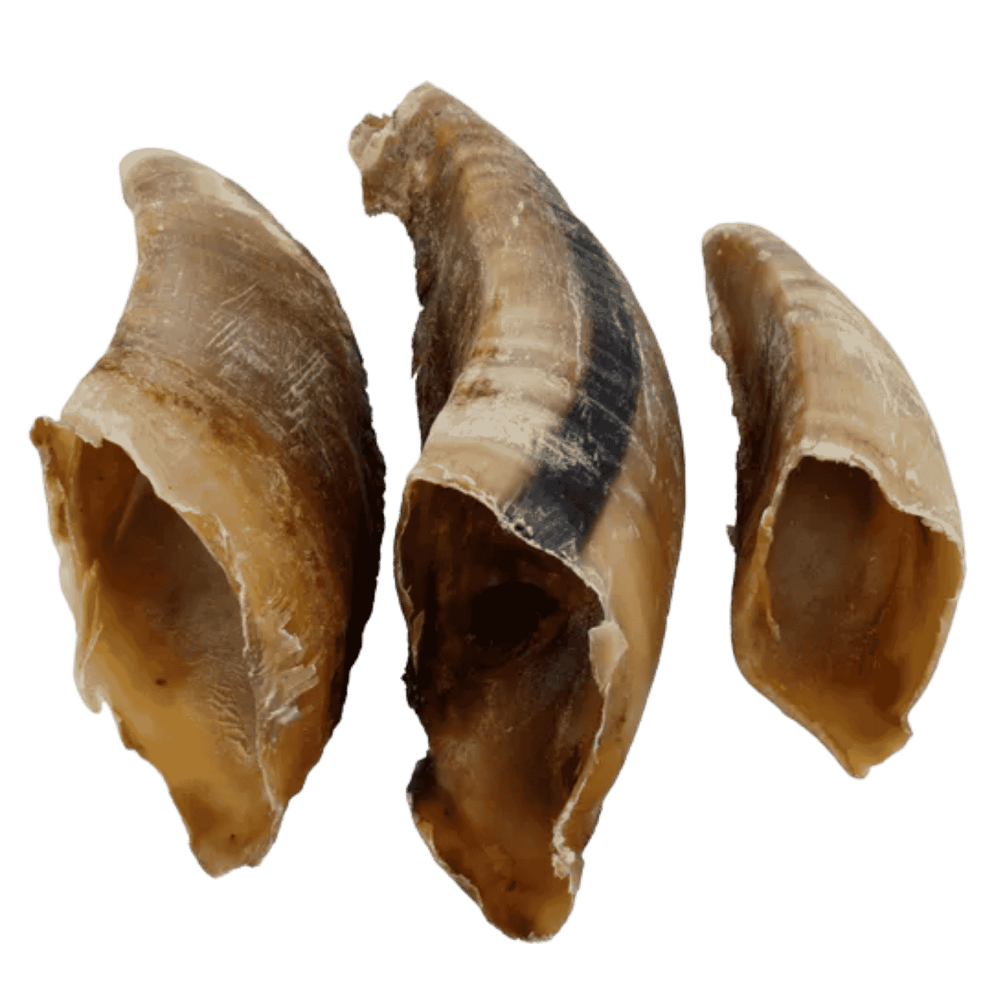 Sabot de vache