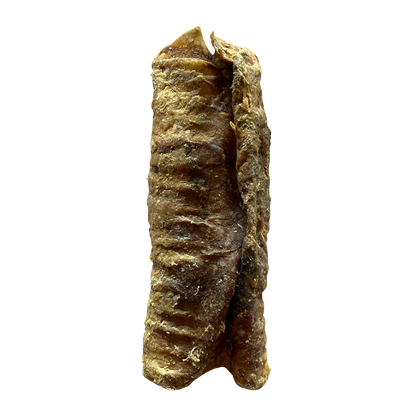 TrachĂ©e de boeuf 15cm