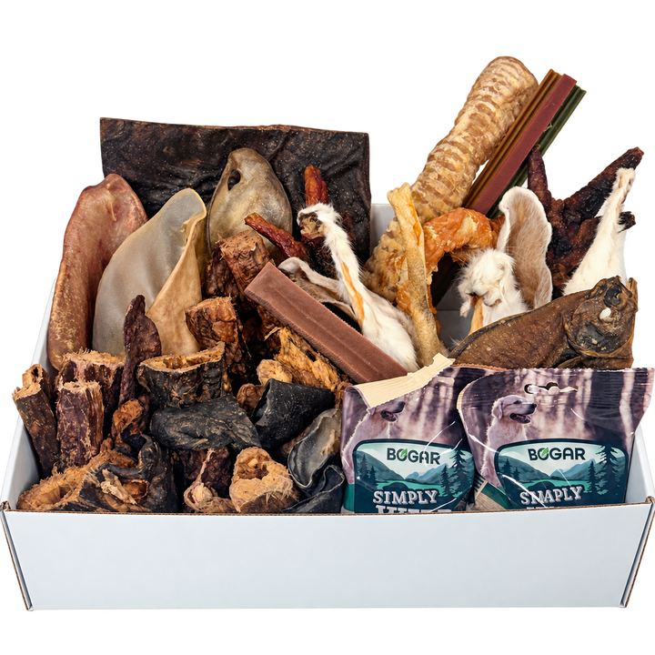 La box de mastication â Ădition Winter is Coming