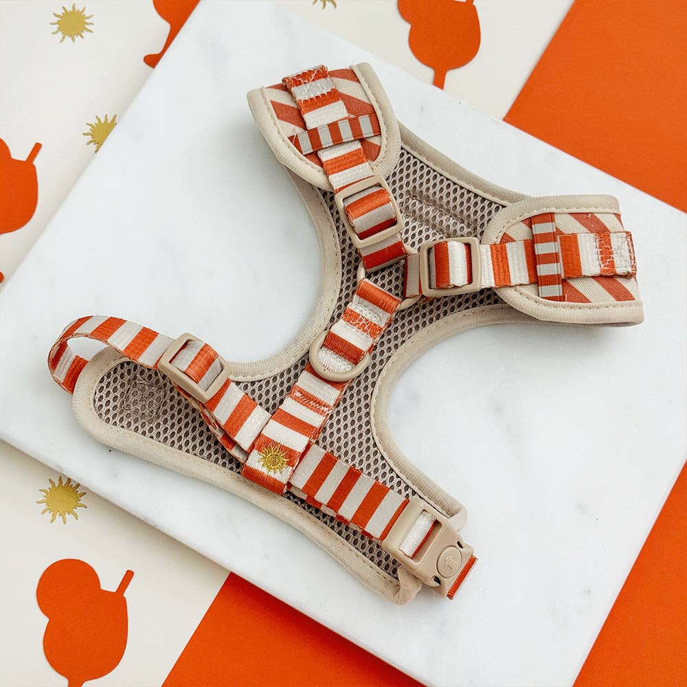Harnais Sunshine & Spritz · Cocopup London — Précommande Noël