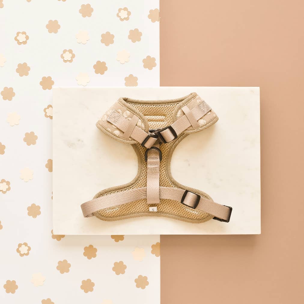 Harnais Mocha Flower · Cocopup London — Précommande Noël