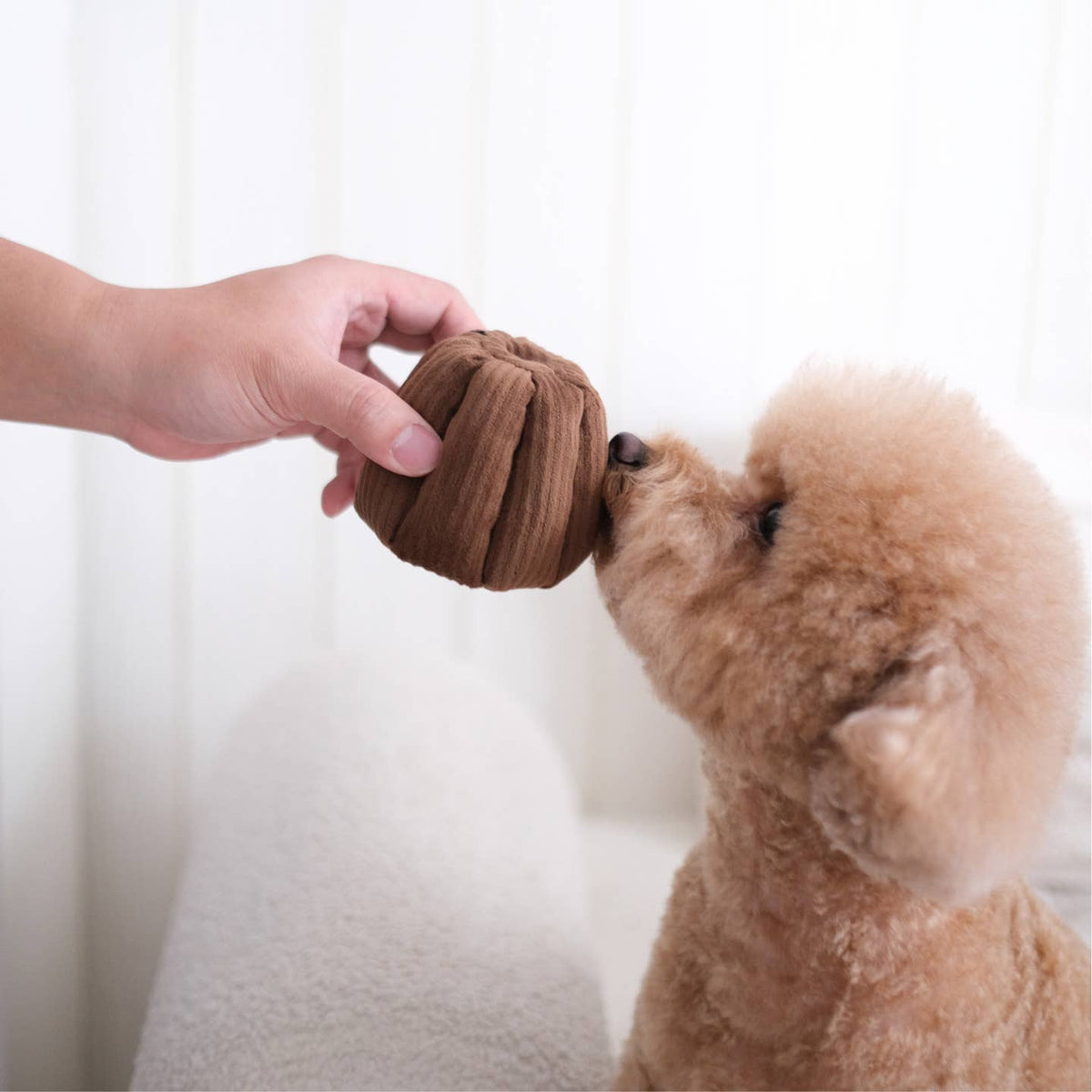 Canelé — petit jouet de fouille · Lambwolf Collective — Précommande Noël