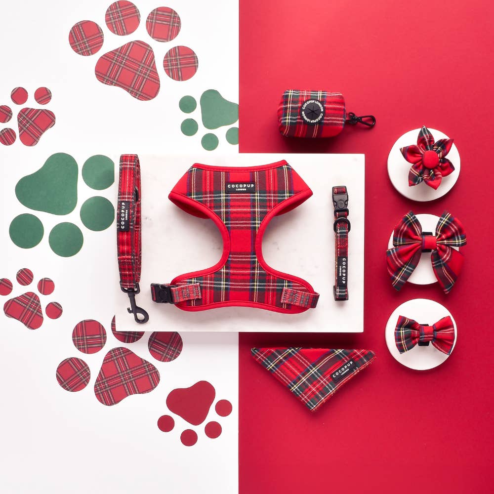 Harnais Tartan rouge et noir · Cocopup London — Précommande Noël