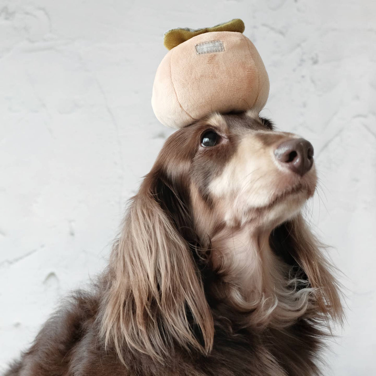 Persimmon — kaki de fouille · Lambwolf Collective — Précommande Noël