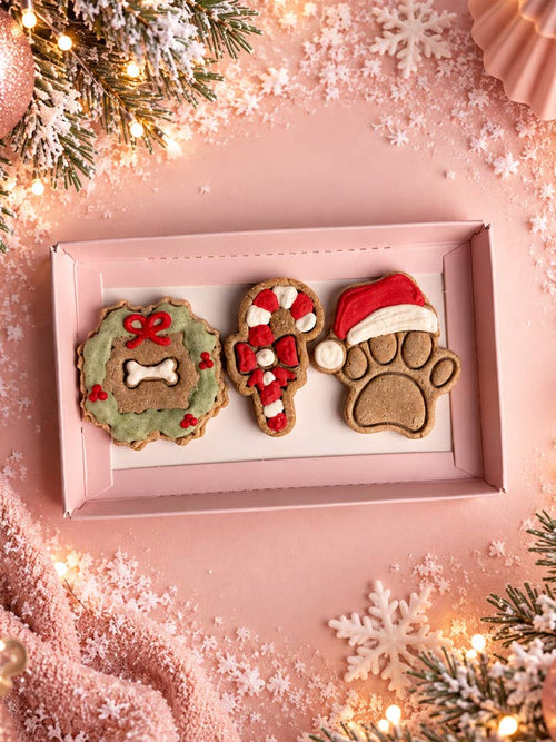 La Patte du Père Noël — coffret de 3 biscuits · En tête a truffe — Précommande Noël