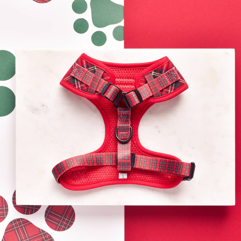 Harnais Tartan rouge et noir · Cocopup London — Précommande Noël