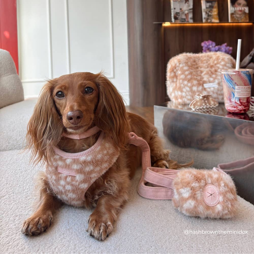 Harnais Fluffy Fawn · Cocopup London — Précommande Noël