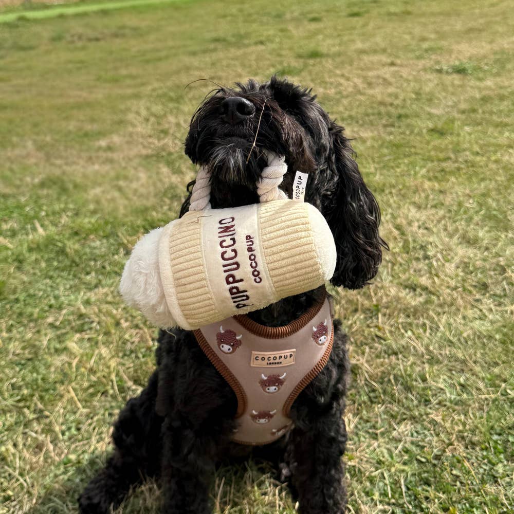 Puppuccino — peluche à friandises · Cocopup London — Précommande Noël