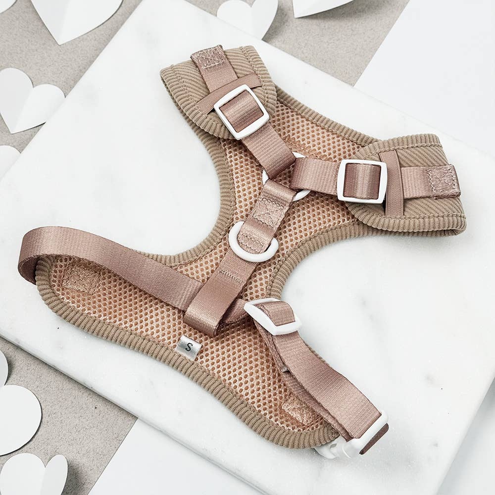 Harnais Chai Hearts · Cocopup London — Précommande Noël