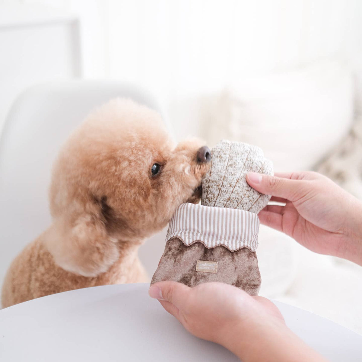 Petite Two — madeleine et macaron · Lambwolf Collective — Précommande Noël