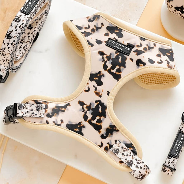 Harnais Ivory Tort · Cocopup London — Précommande Noël