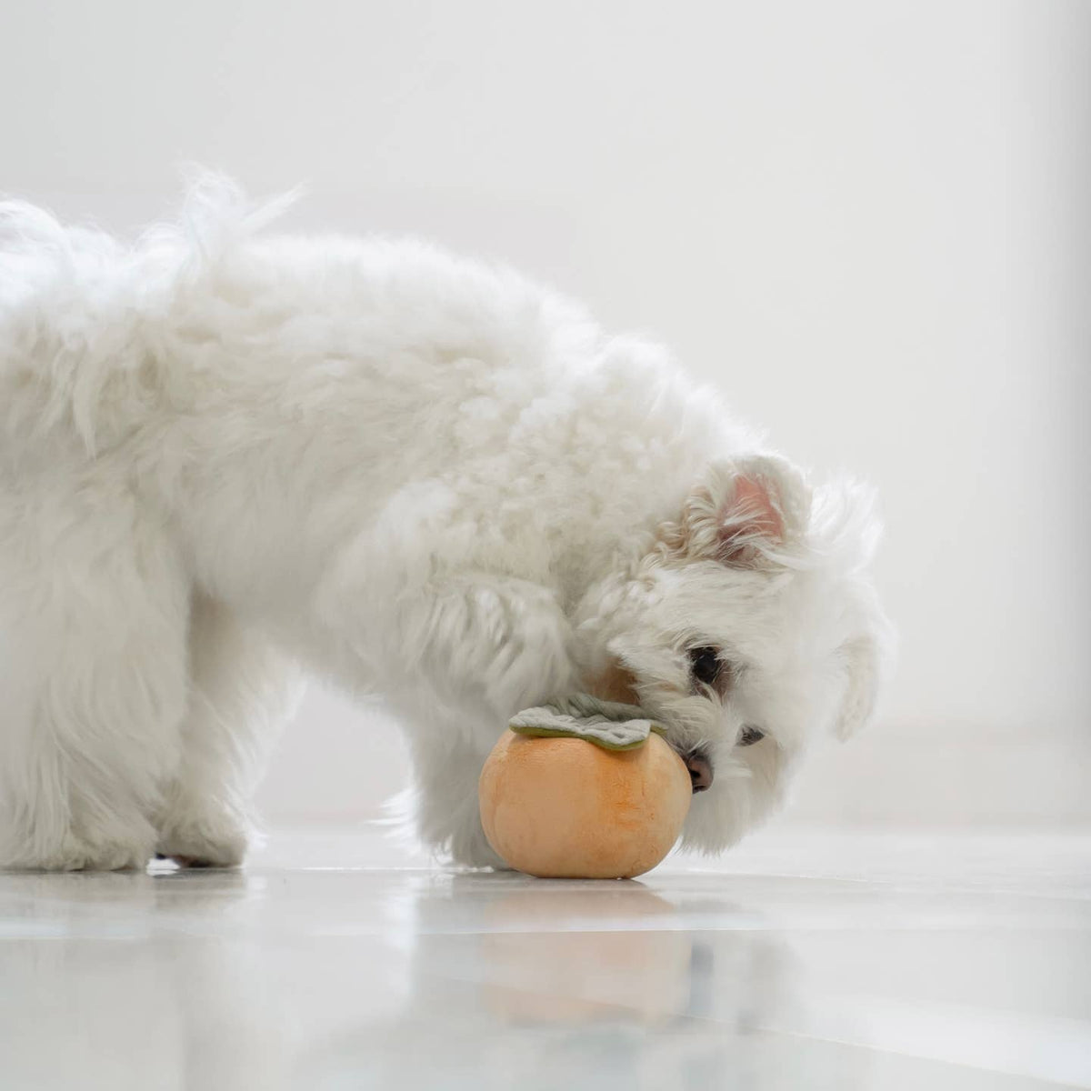 Persimmon — kaki de fouille · Lambwolf Collective — Précommande Noël