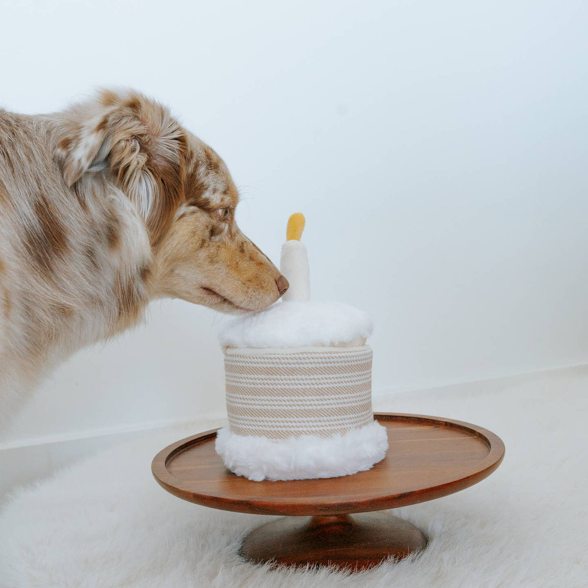 Birthday Cake — gâteau et mini-jouets · Lambwolf Collective — Précommande Noël