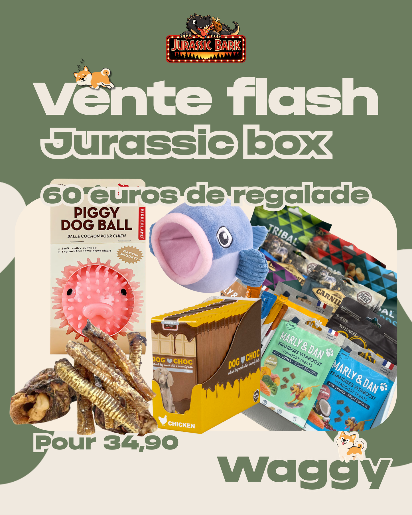 Jurassic Box - Vente Flash