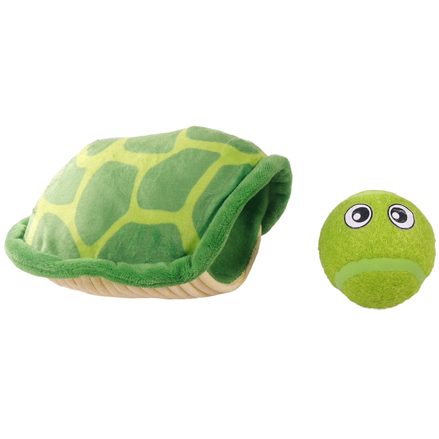 Summer tortue rebondissante