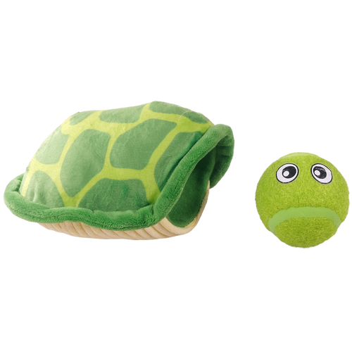 Summer tortue rebondissante