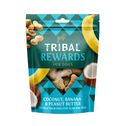 Tribal trainer coco beurre de cacahuete