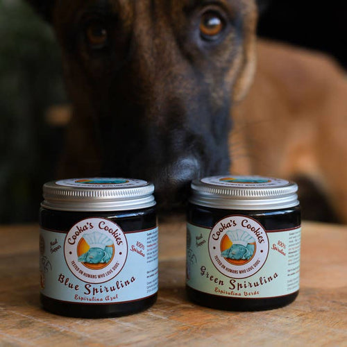Blue Spirulina — Spiruline bleue · Cooka’s Cookies (précommande Noël)