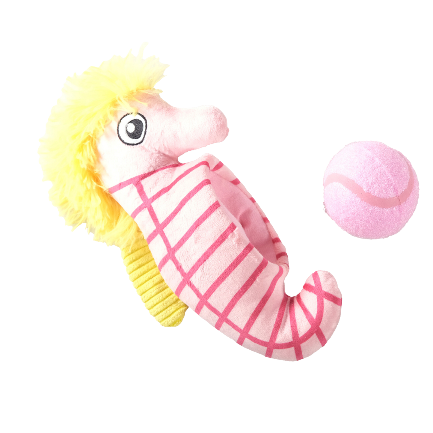 Summer Hippocampe rebondissant