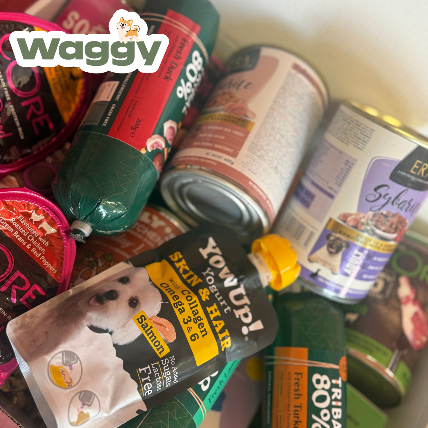 La WaggyBox humide - Gourmet