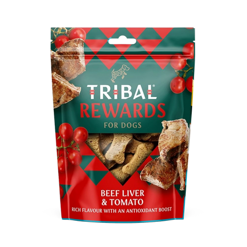 Tribal trainer tomate boeuf