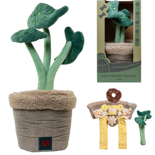 Pawtanic monstera de flair