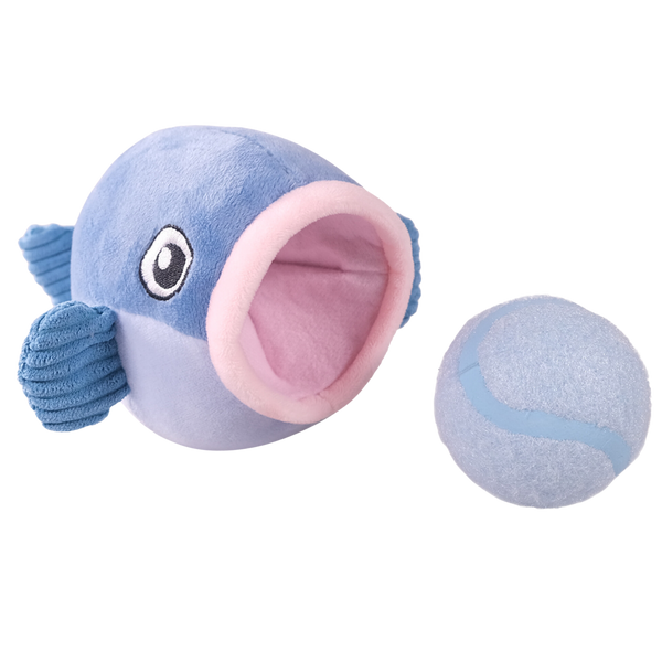 Summer baleine rebondissante