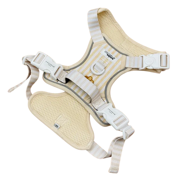 Harnais Honey Bee  Fall - Cocopup