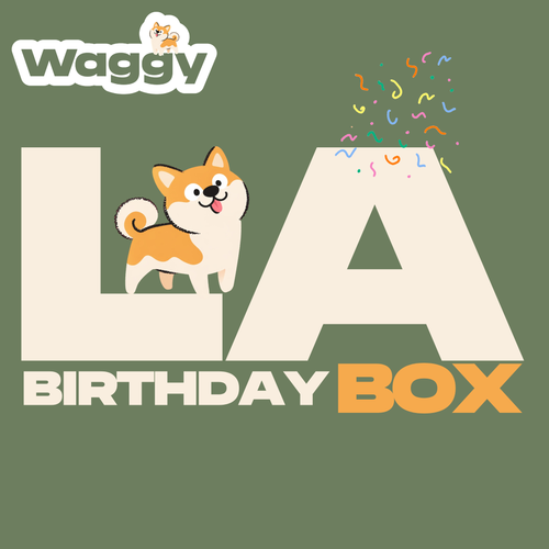 La WaggyBox d'anniversaire