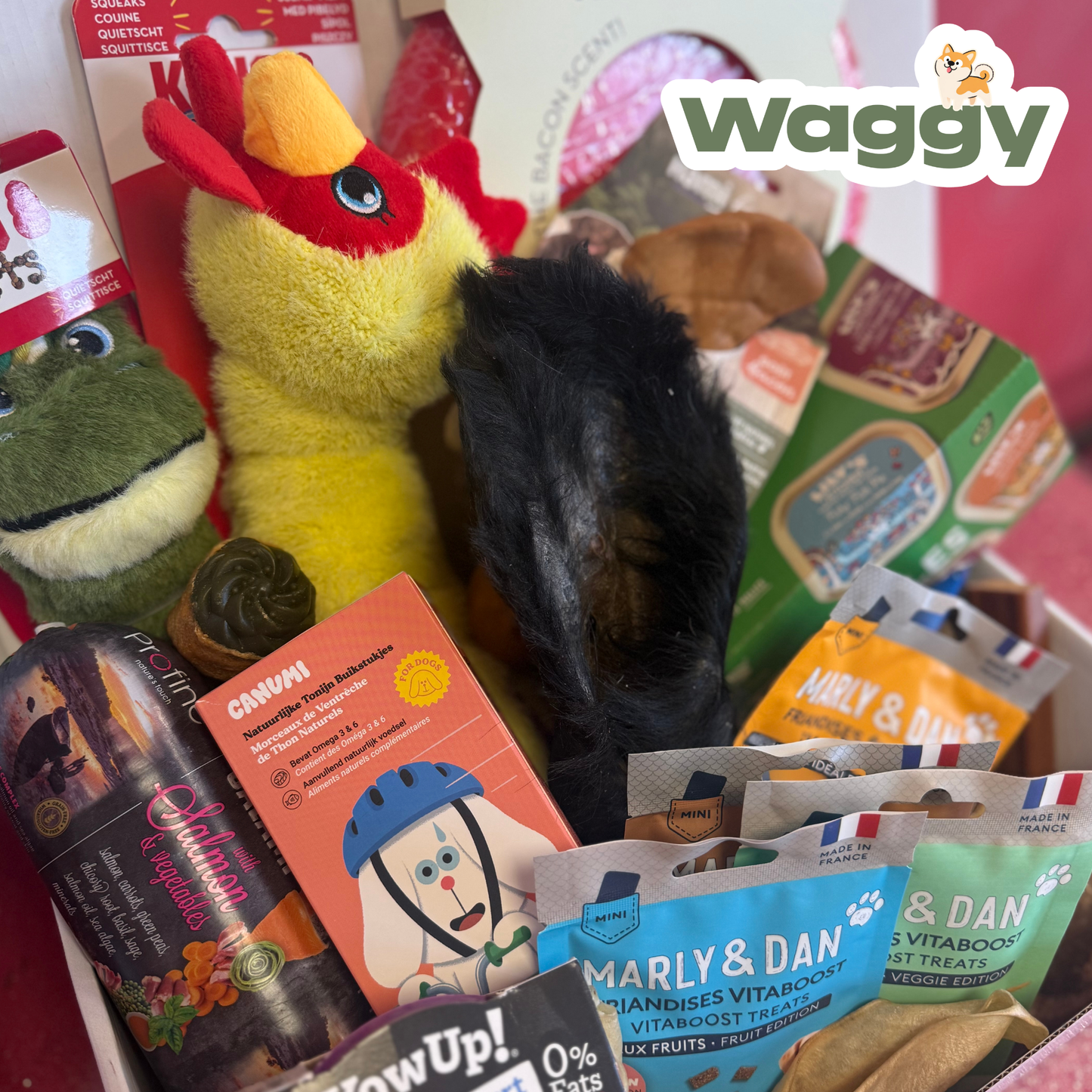 La WaggyBox d'ouverture indécente
