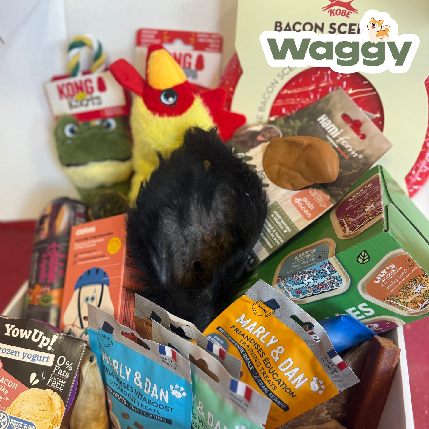 La WaggyBox d'ouverture indécente