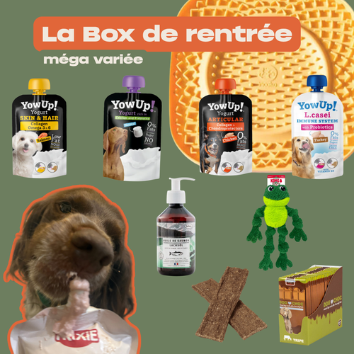 La WaggyBox de rentrée - Multibox