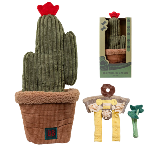 Pawtanic Cactus de flair