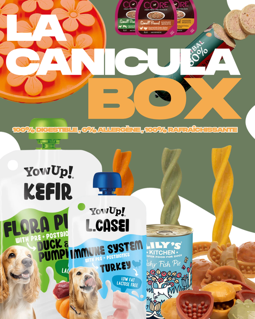 🌞 CANICULA BOX - ÉDITION DÉBUT CANICULAIRE
