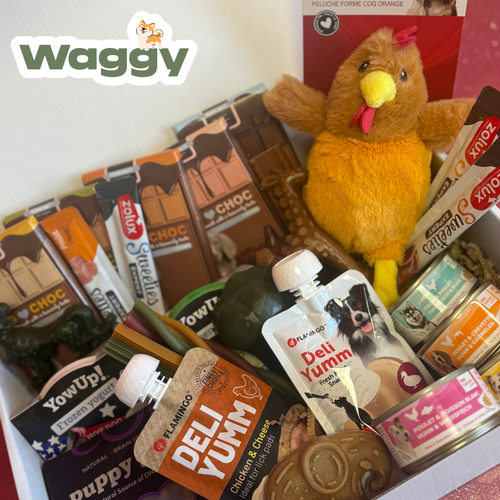 La Waggybox Chiot - Easter